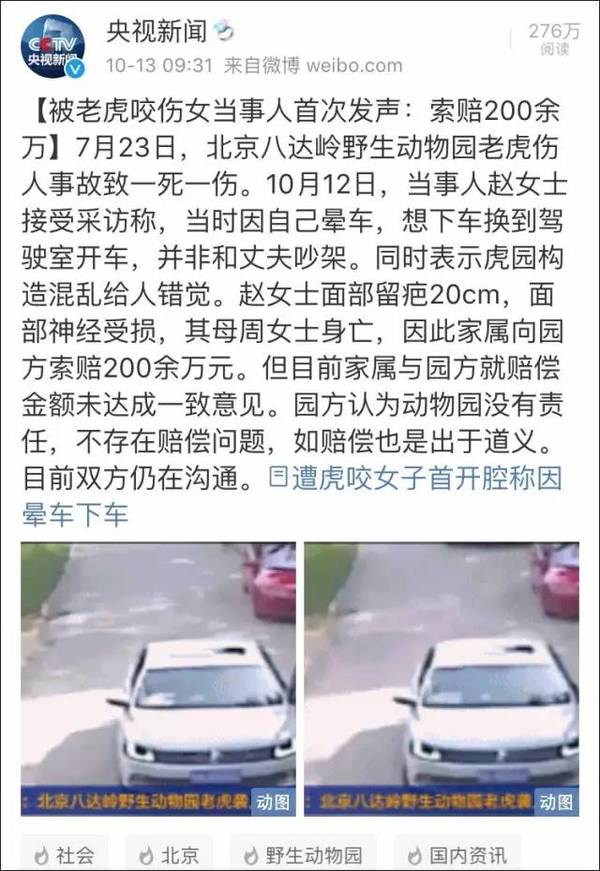 小红书爆款动物园老虎吃人事件全解析，最新动态与深度探讨