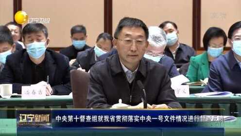 中央督察组最新信息及步骤指南全解析，初学者与进阶用户必读