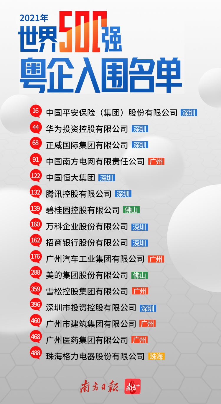 海南经富大宗最新公告，时代的见证与行业领航者