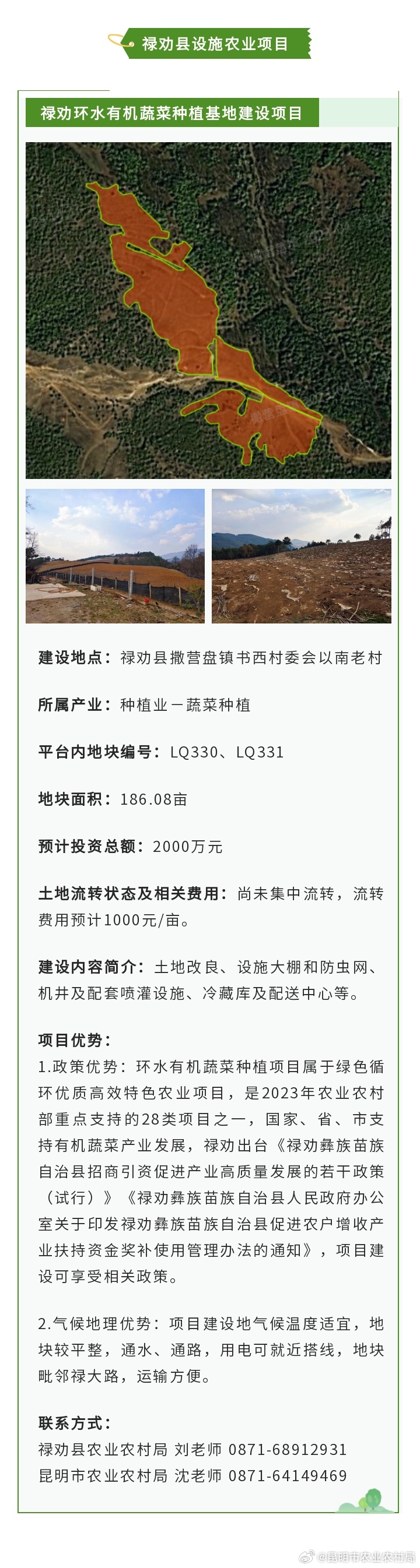 2025最新养植致富项目，与自然共舞，探寻内心桃花源，开启绿色致富路
