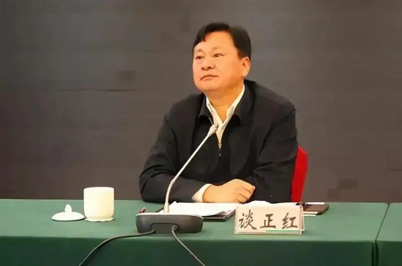 华容今日最新消息，城市生活的温馨日常观察