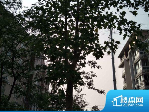 景湖人家最新房价探讨与分析